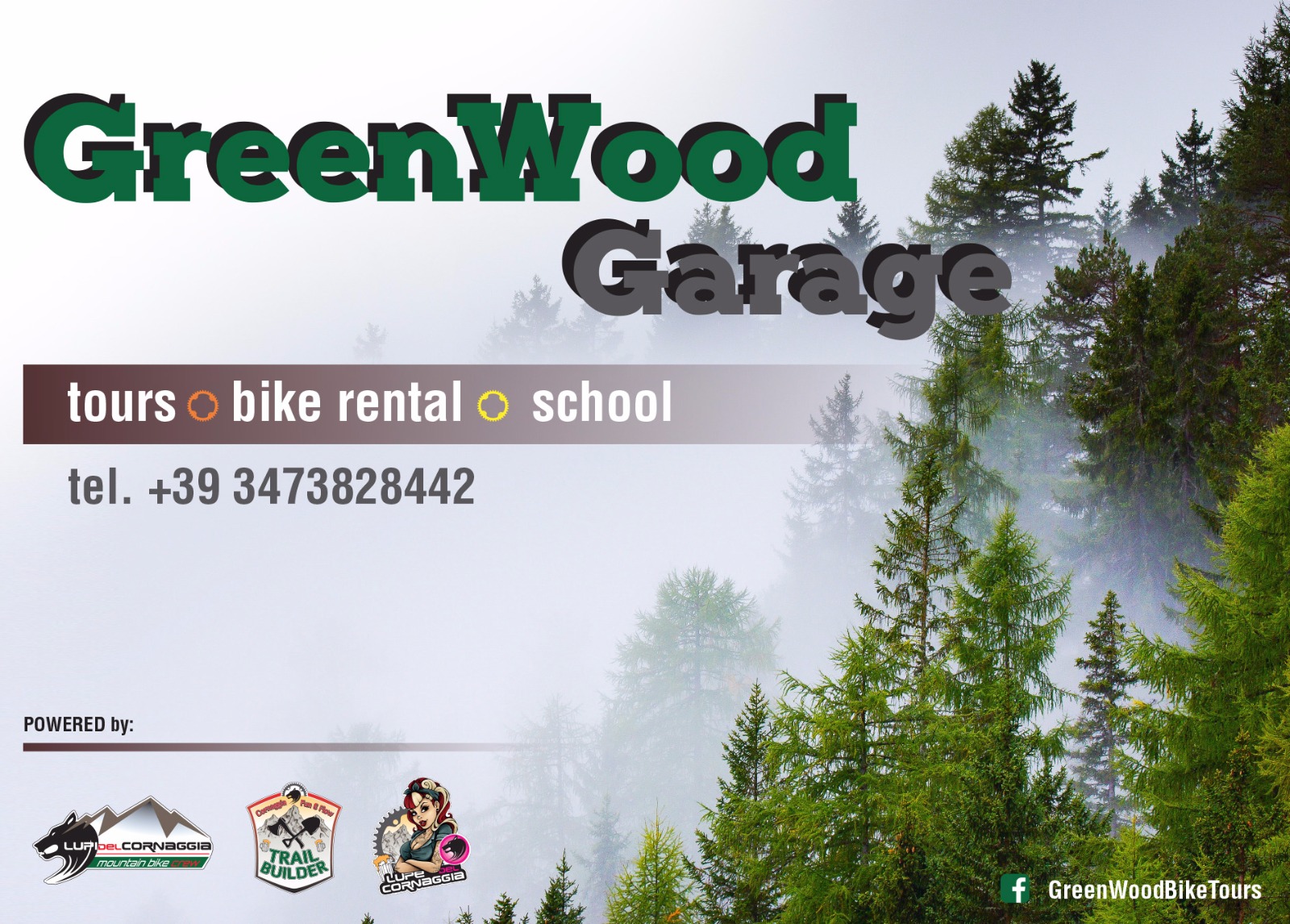 ebike_rental