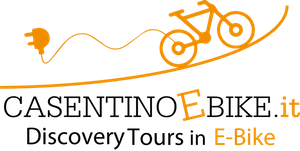 ebike_rental