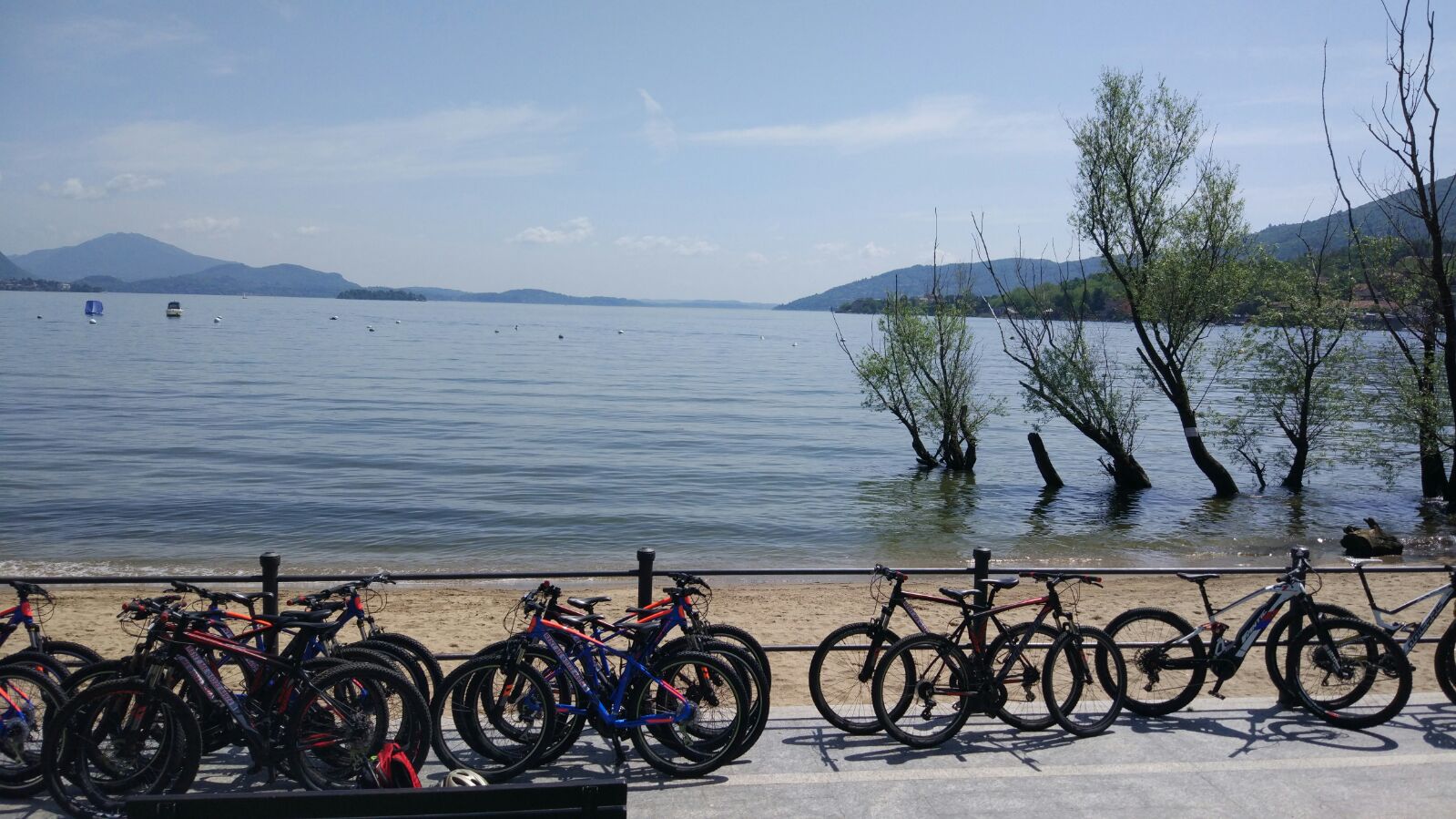 ebike_rental