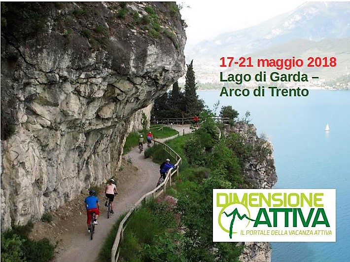 organized_tours