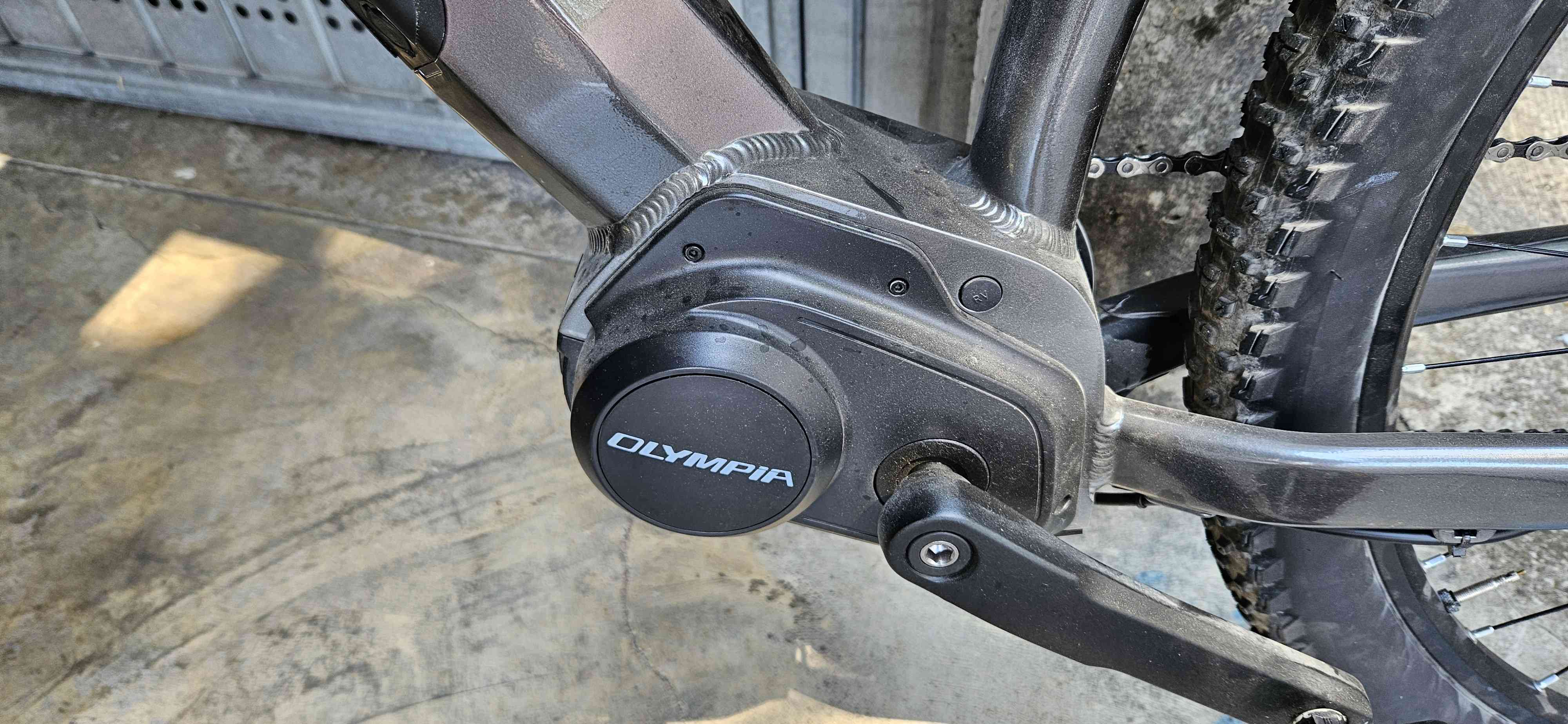 Olimpia master 639